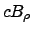 $\displaystyle c B_\rho$